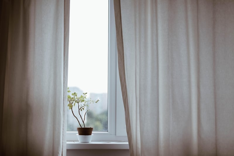 Home plants